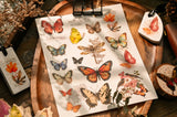 Vintage Big Butterfly RUB ON Transfer Stickers Scrapbooking DIY Craft Supplies Junk Journaling