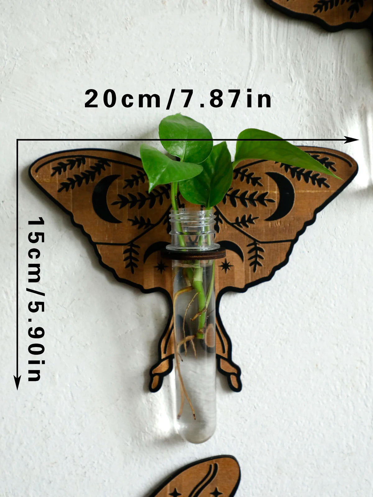 Butterfly Wall-Mounted Propagation Station Wooden Hanging Plant Holder with Plastic Tubes for Indoor Plants