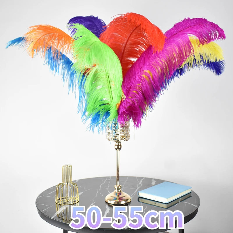 10Pcs/Lot Ostrich Feathers 30-50cm DIY Crafts