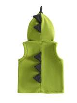 Dinosaur Fleece Vest Toddler Boy Hooded Cute Embroidery Full-Zip Sleeveless Jacket Coats Outerwear