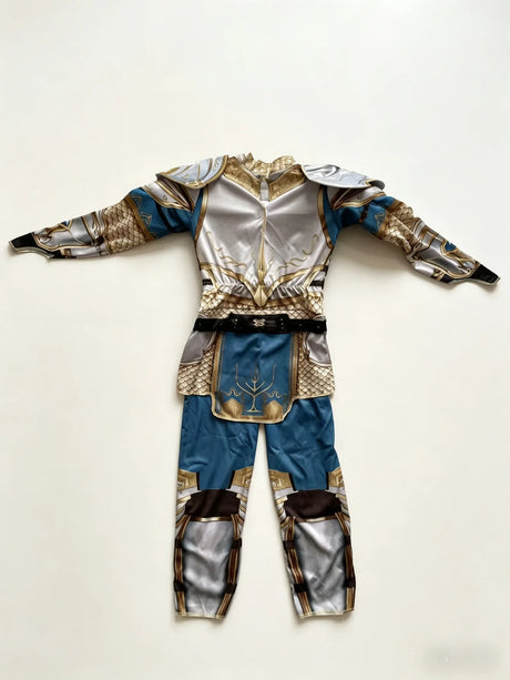 Knight Costume Kids Soft Cosplay Silver Gold And Blue Long Sleeve Set Book Week Halloween
