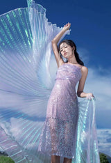 Transparent Iridescent Stage Performance Egyptian 300 Degree Wings Belly Dance Isis Wings