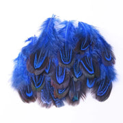 100Pcs Pheasant Chicken Feathers for DIY Crafts