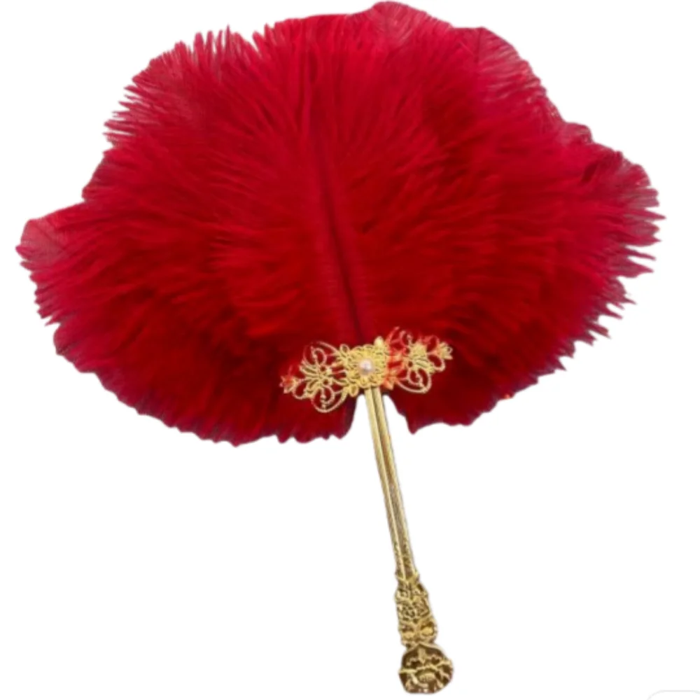 Ostrich Feather Fan Round Fan with Golden Hollow Handle Court Dance Hand Fans