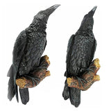 Quoth the Raven Resin Statue Halloween Decor