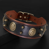 Genuine Leather Dog Collar 2inch Wide Rivets and Spikes Medieval Cosplay