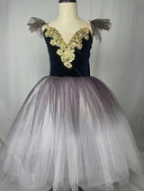 Fae Ballerina Aurora's Long Ballet Dance Dress Children Women