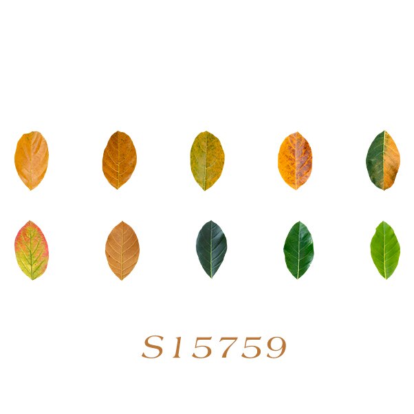 Fallen Leaves Stickers Washi Tape