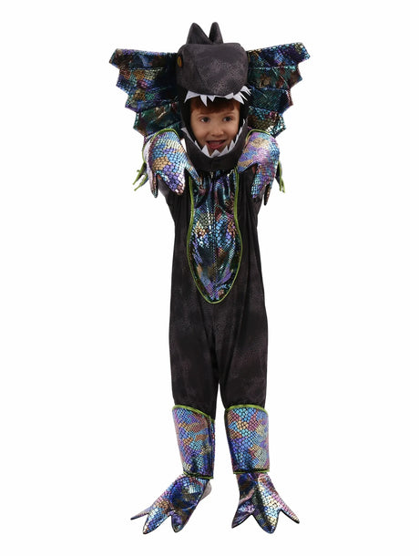 Kids Dinosaur Costumes