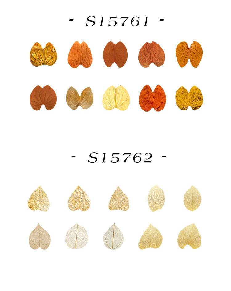Fallen Leaves Stickers Washi Tape