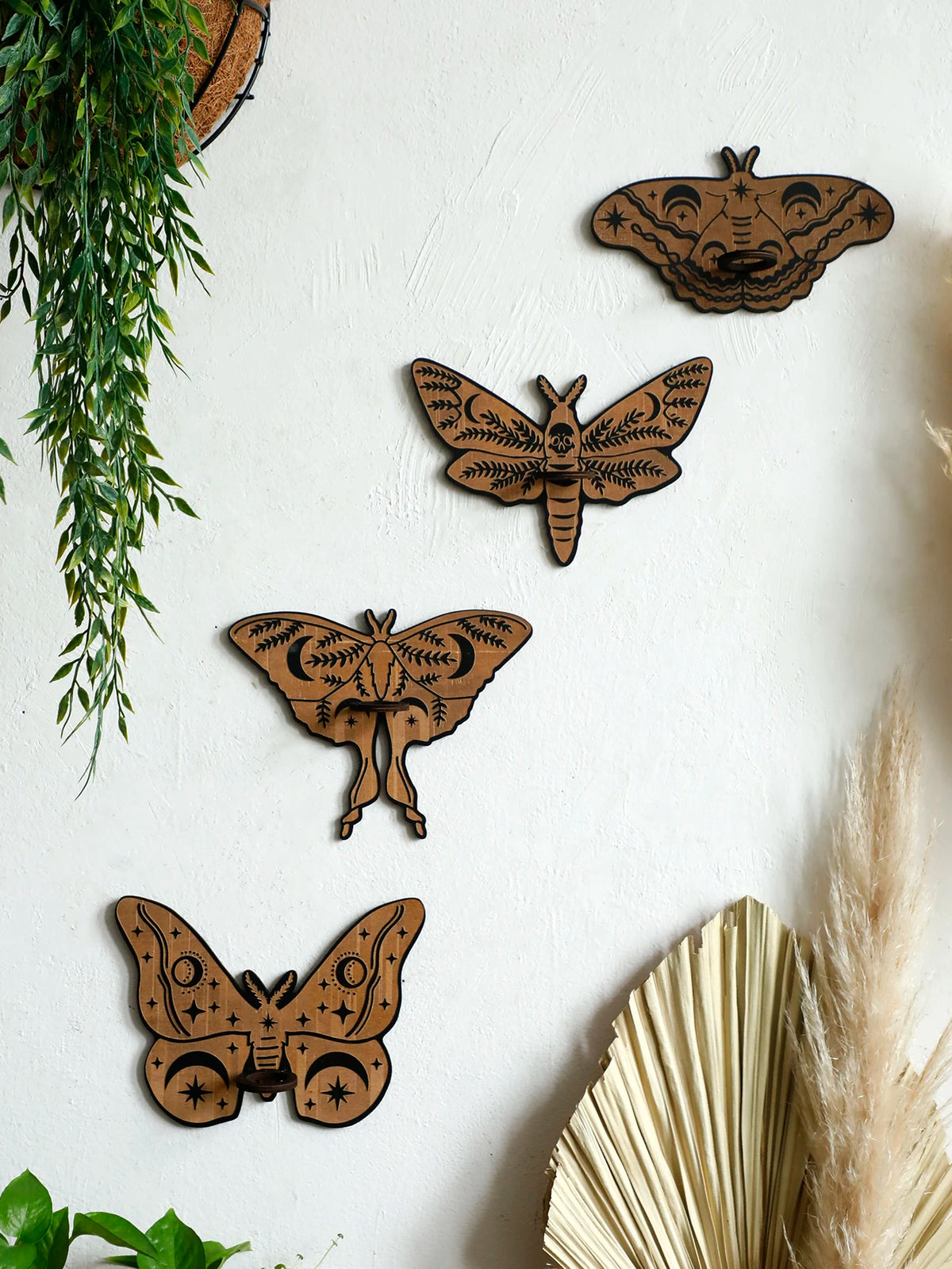 Butterfly Wall-Mounted Propagation Station Wooden Hanging Plant Holder with Plastic Tubes for Indoor Plants
