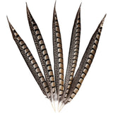 Natural Ringneck Pheasant Tail Feathers 6-18 Inches DIY Handmade Crafts