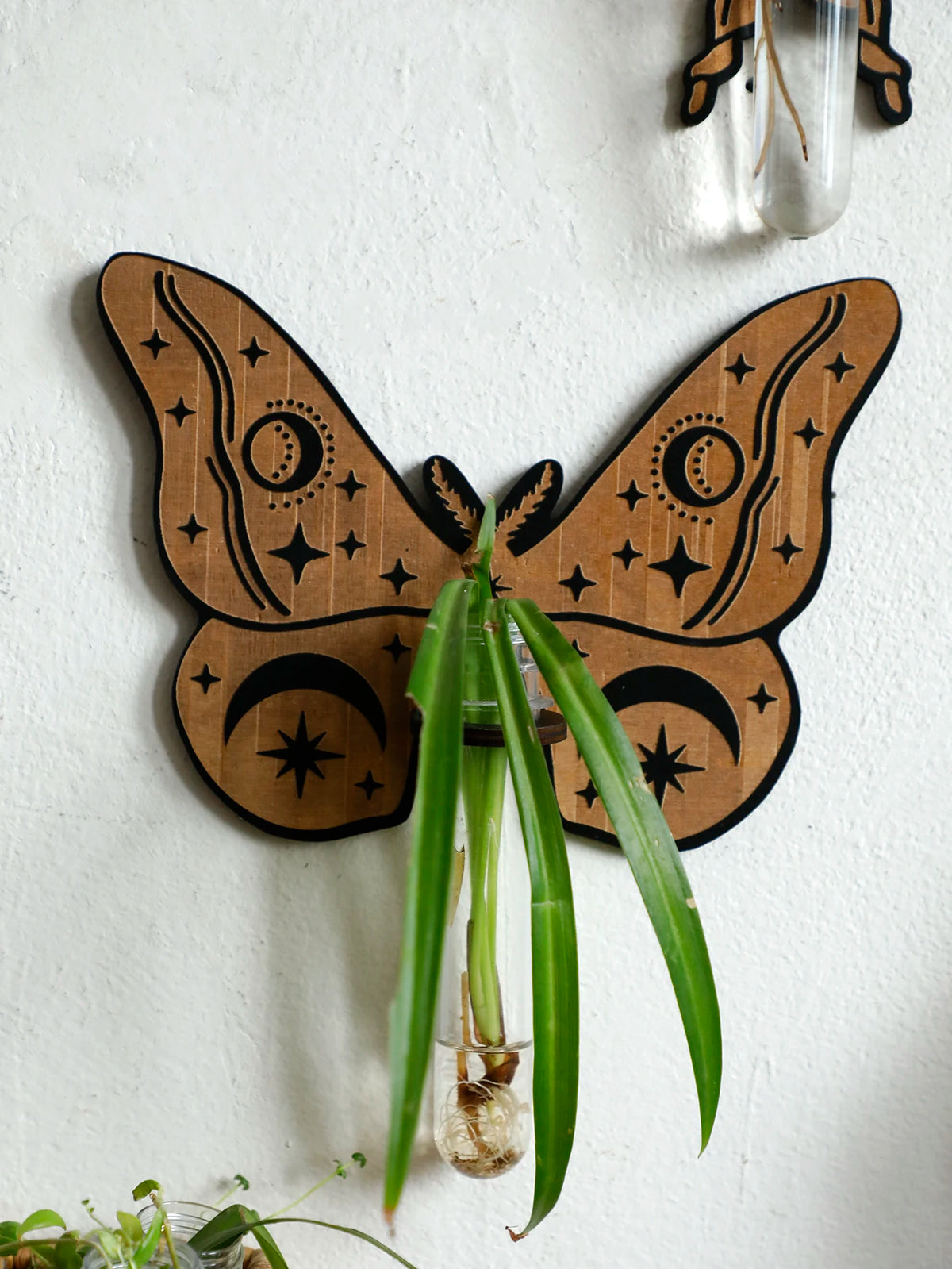 Butterfly Wall-Mounted Propagation Station Wooden Hanging Plant Holder with Plastic Tubes for Indoor Plants