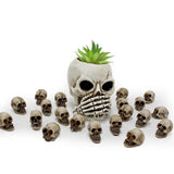 20pcs Mini Skulls Decor Skeleton Heads DIY Halloween Crafts Decoration