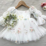 Fairy Faith's Baby Toddler Girls Birthday Dress Embroidered Butterfly Flower Girls Dress