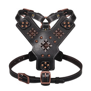 Genuine Leather Dog Harness Durable Large Dogs Riveted Pet Vest With Metal Accessories Medieval Cosplay