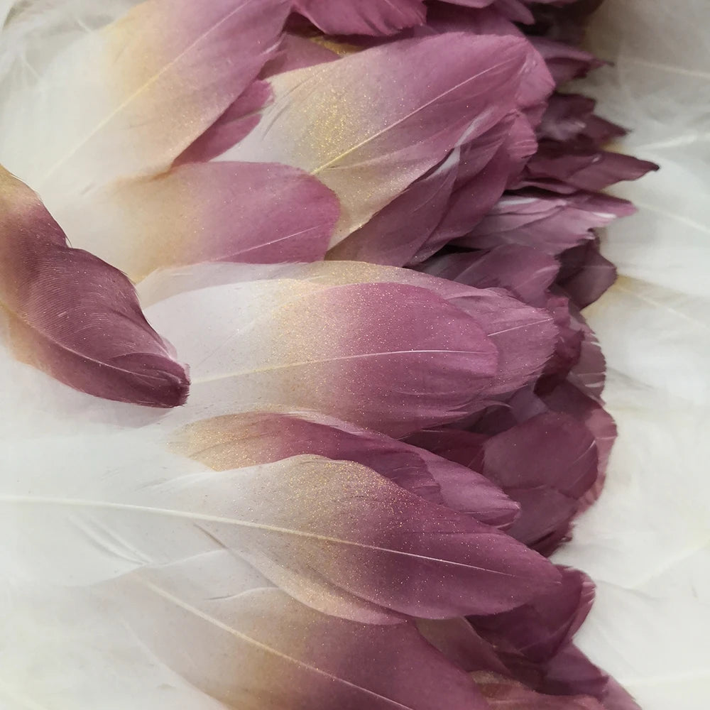 Ten Rose Gradient Goose Feathers 15-20cm