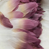 Ten Rose Gradient Goose Feathers 15-20cm