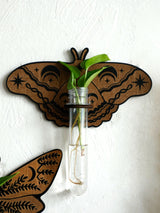 Butterfly Wall-Mounted Propagation Station Wooden Hanging Plant Holder with Plastic Tubes for Indoor Plants
