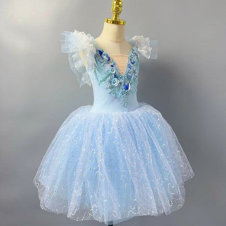 Long Ballet Tutu Dress Dance Performance Dress