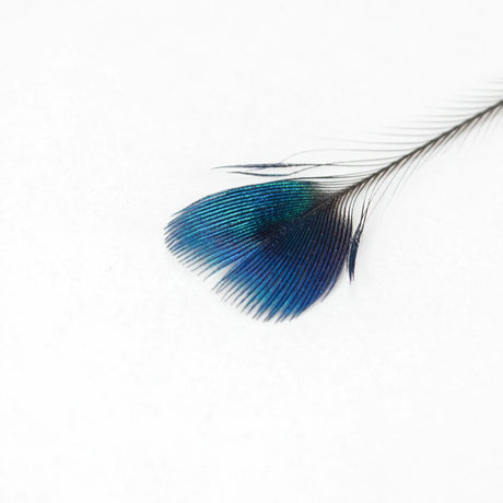 Peacock Feathers DIY Crafts 10/20/50/100PCS
