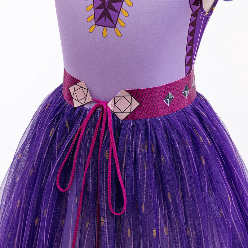 Princess Asha Halloween Dress Ups Costumes