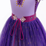 Princess Asha Halloween Dress Ups Costumes