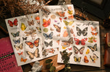 Vintage Big Butterfly RUB ON Transfer Stickers Scrapbooking DIY Craft Supplies Junk Journaling