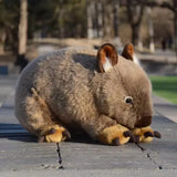 Wombat Plushie Doll Plush