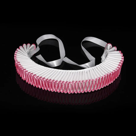 Elizabethan Tudor Ruff Collar Photoshoot Halloween Costume