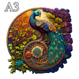 47235464200507