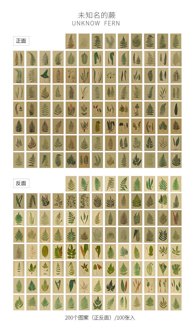 100pcs Vintage Plant Butterfly Kraft Paper Double-sided Note Cards