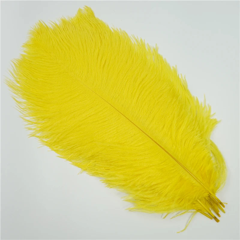 10Pcs/Lot Ostrich Feathers 30-50cm DIY Crafts