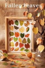 Fallen Leaves Stickers Washi Tape