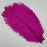 10Pcs/Lot Ostrich Feathers 30-50cm DIY Crafts