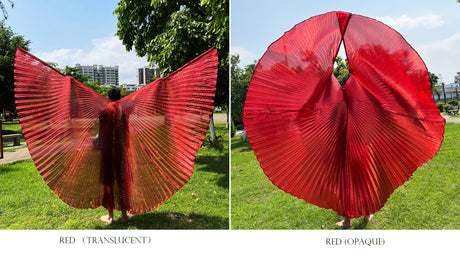 Transparent Iridescent Stage Performance Egyptian 300 Degree Wings Belly Dance Isis Wings
