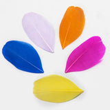 Fifty 4-8cm Floating Head Goose Feathers DIY Crafts and Jewellery Making