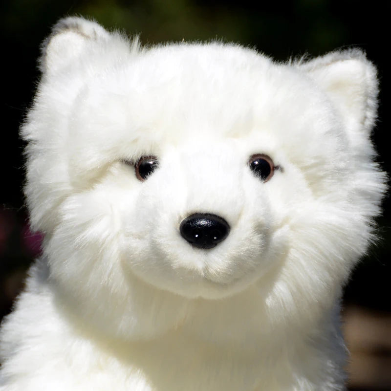 Arctic Fox Plushie Toy