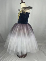 Fae Ballerina Aurora's Long Ballet Dance Dress Children Women