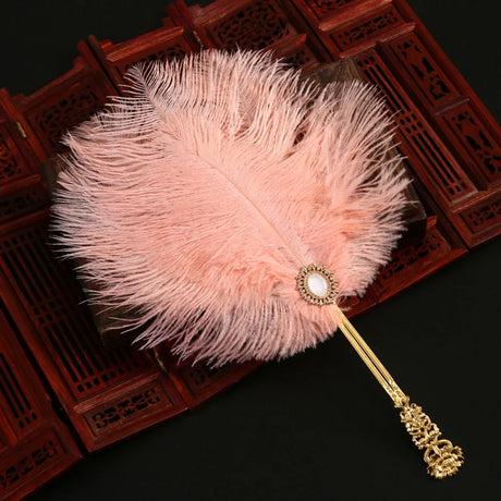 Ostrich Feather Fan Round Fan with Golden Hollow Handle Court Dance Hand Fans