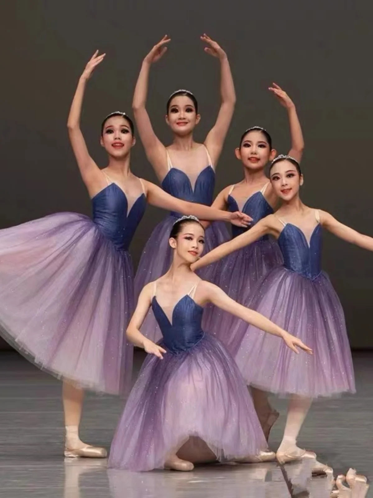 Professional Ballet Long Tutu Dress Purple Dance Performance Competition Costumes