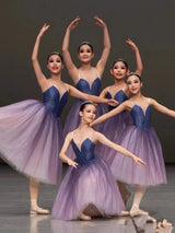 Professional Ballet Long Tutu Dress Purple Dance Performance Competition Costumes