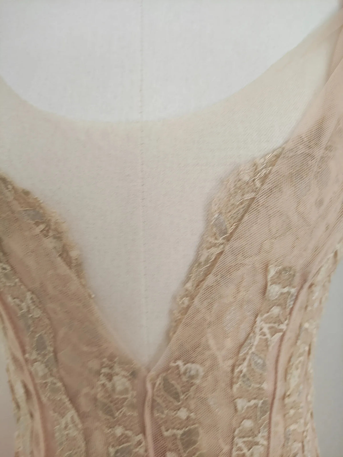 Sylvie's French Lace Embroidered Mesh Evening Dress