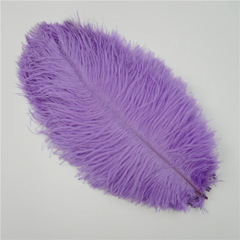 10Pcs/Lot Ostrich Feathers 30-50cm DIY Crafts
