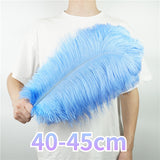 10Pcs/Lot Ostrich Feathers 30-50cm DIY Crafts