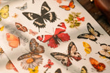 Vintage Big Butterfly RUB ON Transfer Stickers Scrapbooking DIY Craft Supplies Junk Journaling