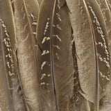 Natural Pheasant Feathers DIY Crafts Decor