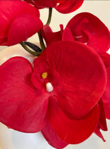 Handcrafted Large Realistic Orchid Statement Headpiece Floral Headband for Weddings Races Photoshoots