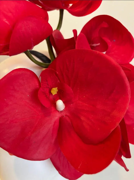 Handcrafted Large Realistic Orchid Statement Headpiece Floral Headband for Weddings Races Photoshoots