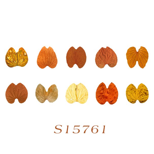 Fallen Leaves Stickers Washi Tape